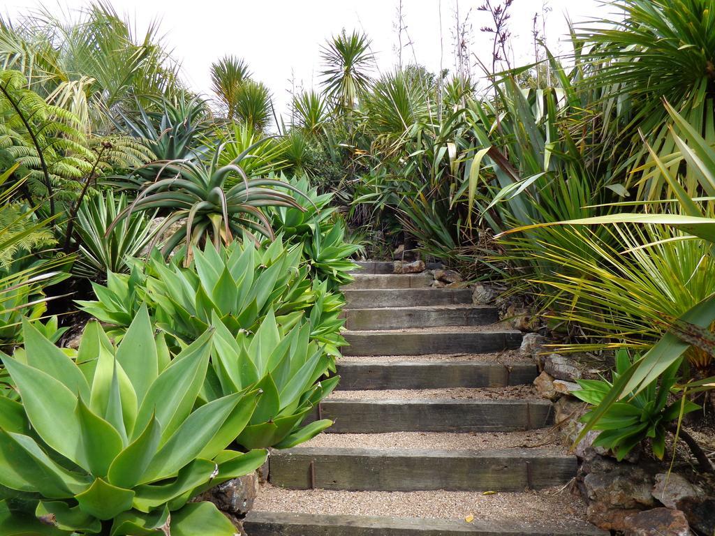 Nikau Apartments Waiheke Island Onetangi Bagian luar foto